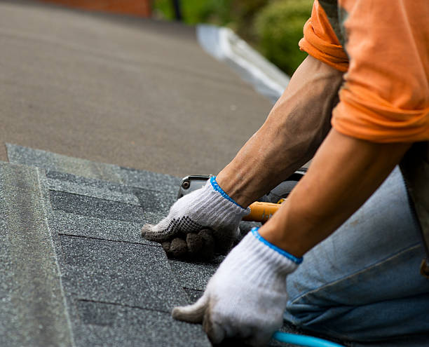 Best Storm Damage Roof Repair  in Severance, CO
